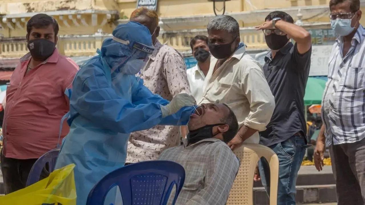 A health worker collects a swab sample for Covid-19 test. File Pic