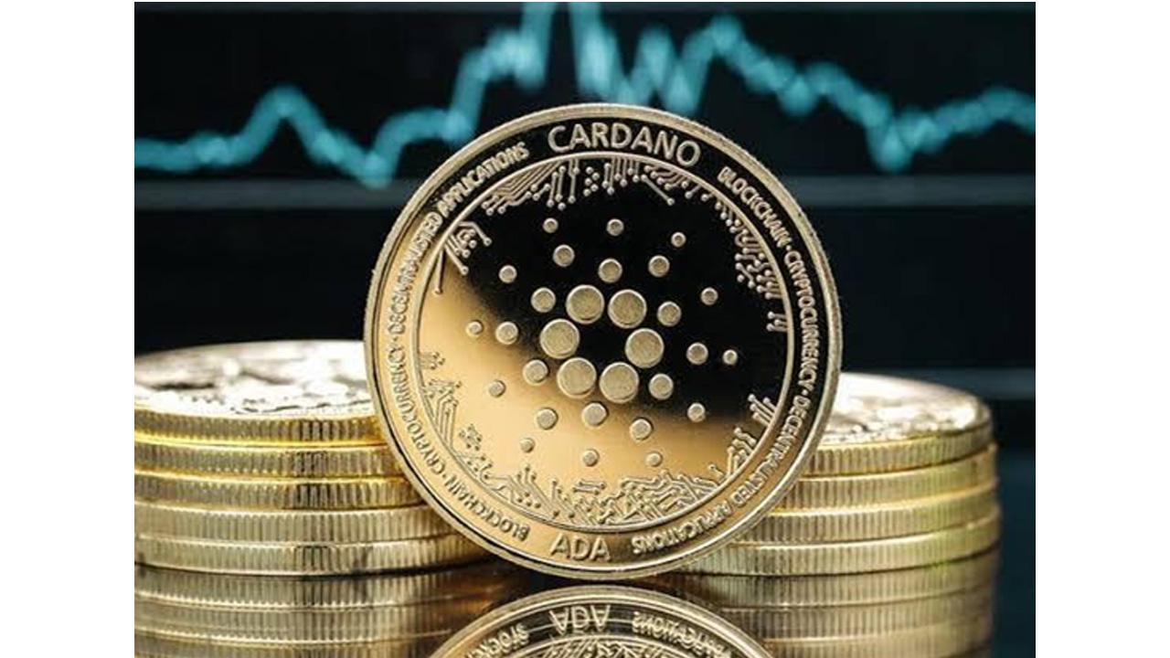 Immunicorn (IMU), Cardano, and Algorand: Best Under $1 cryptocurrencies to include in your portfolio