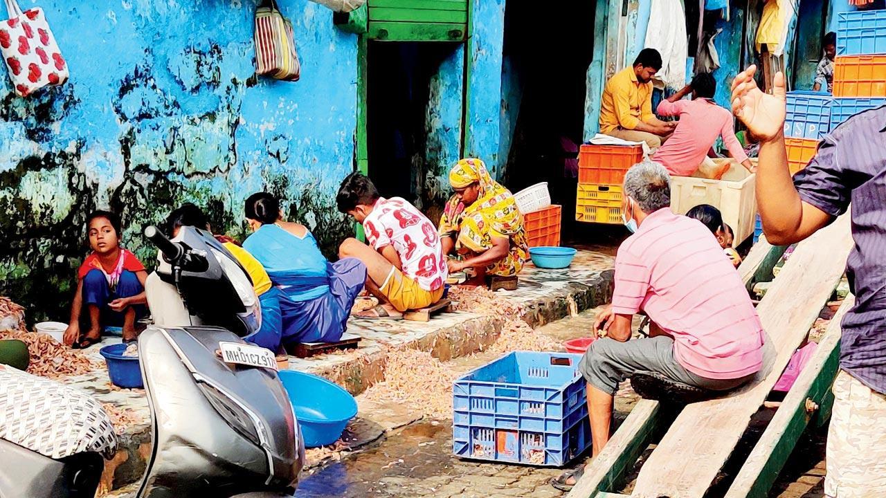 Mumbai: Colaba residents turn up noses at ‘smelly’ Sassoon Dock