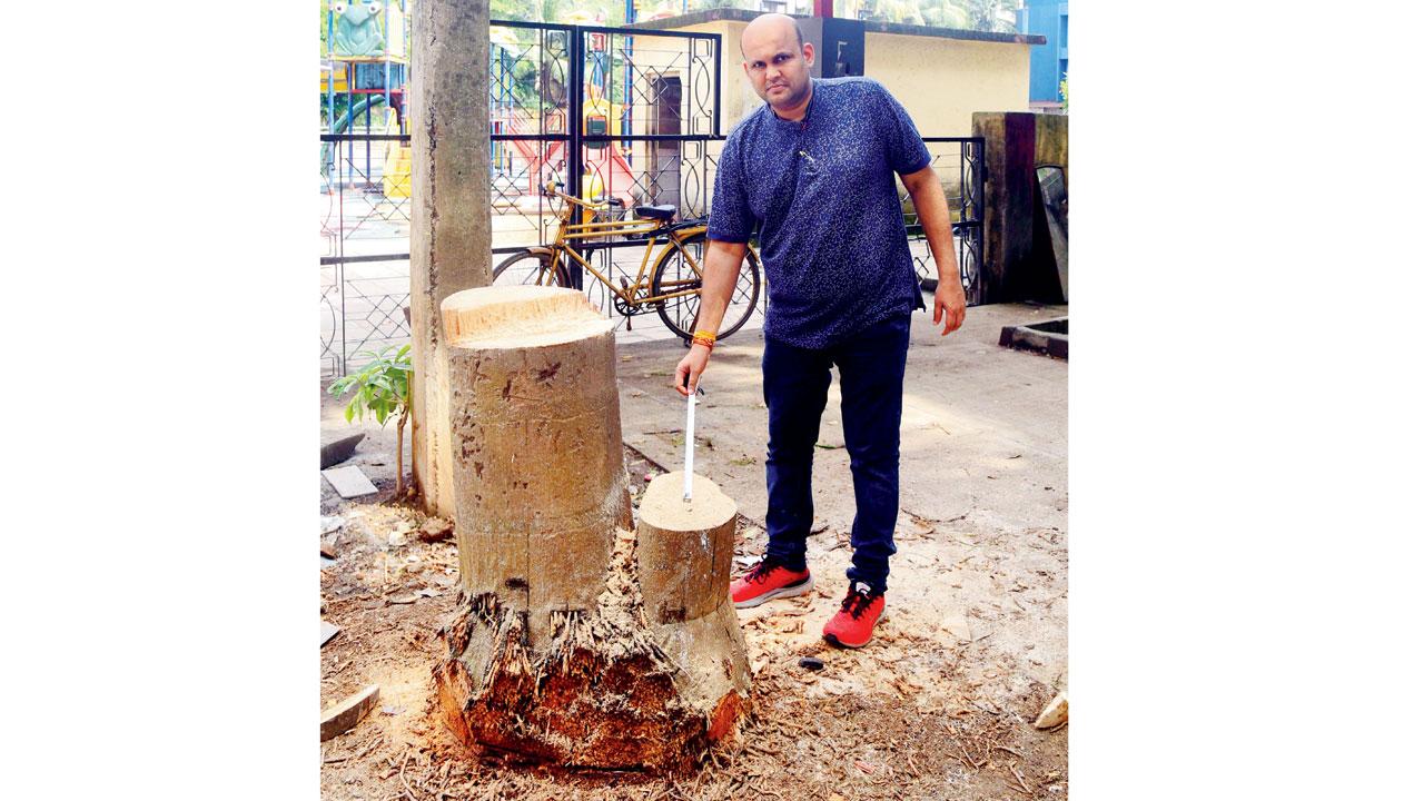 Dhaval Shah, chairman of LOCA, stands near the trunk of now-hacked tree