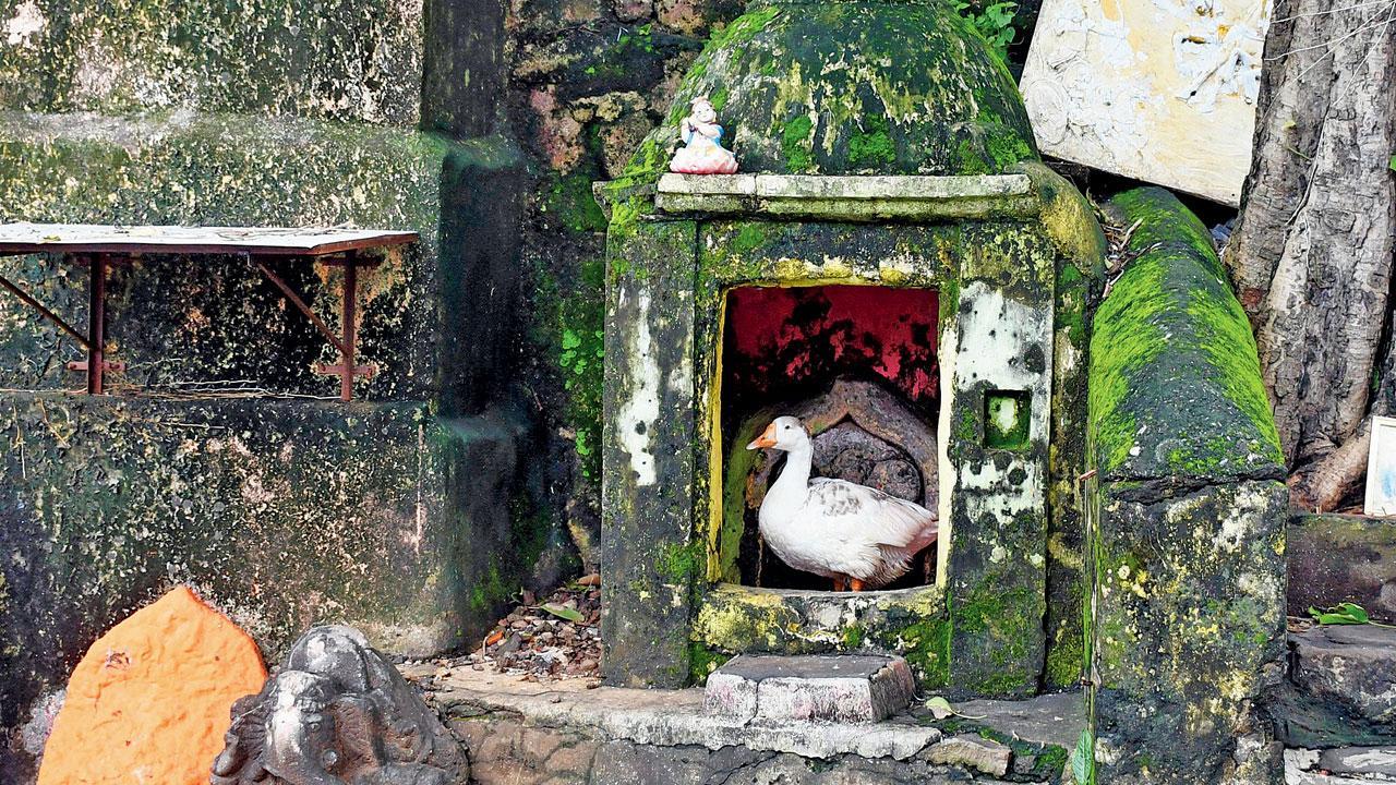 Mumbai Diary: Friday Dossier Mumbai Diary: Friday Dossier