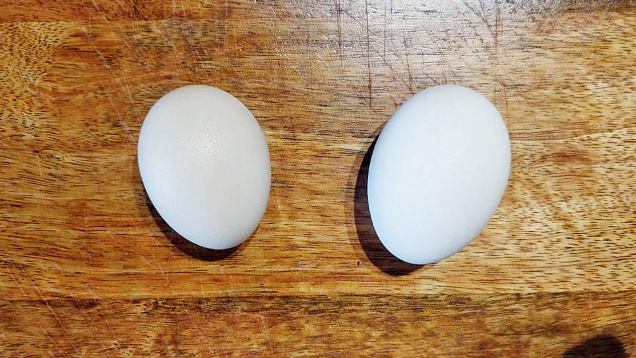 A comparison between (left) free-range and (right) caged eggs