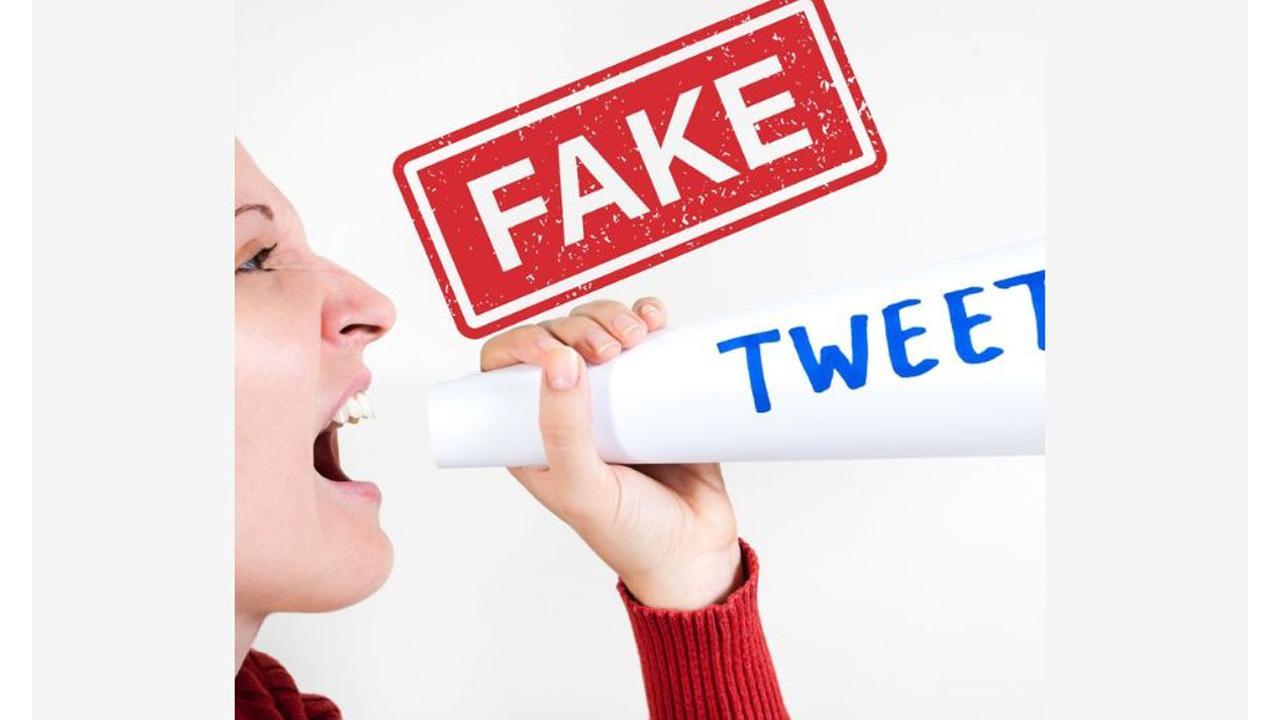 The big business of fake social media followers Apurva Agarwal