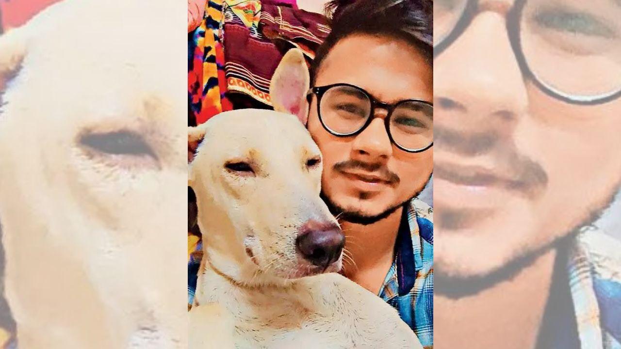 Mumbai: Animal lovers say stray and pet dogs, terrorised by loud noises amid festivities