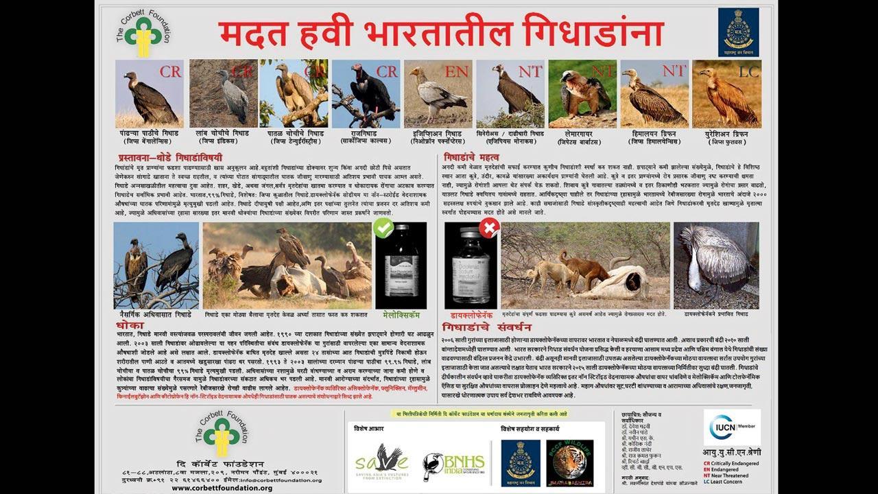 Maharashtra govt wants to bring vultures back to life