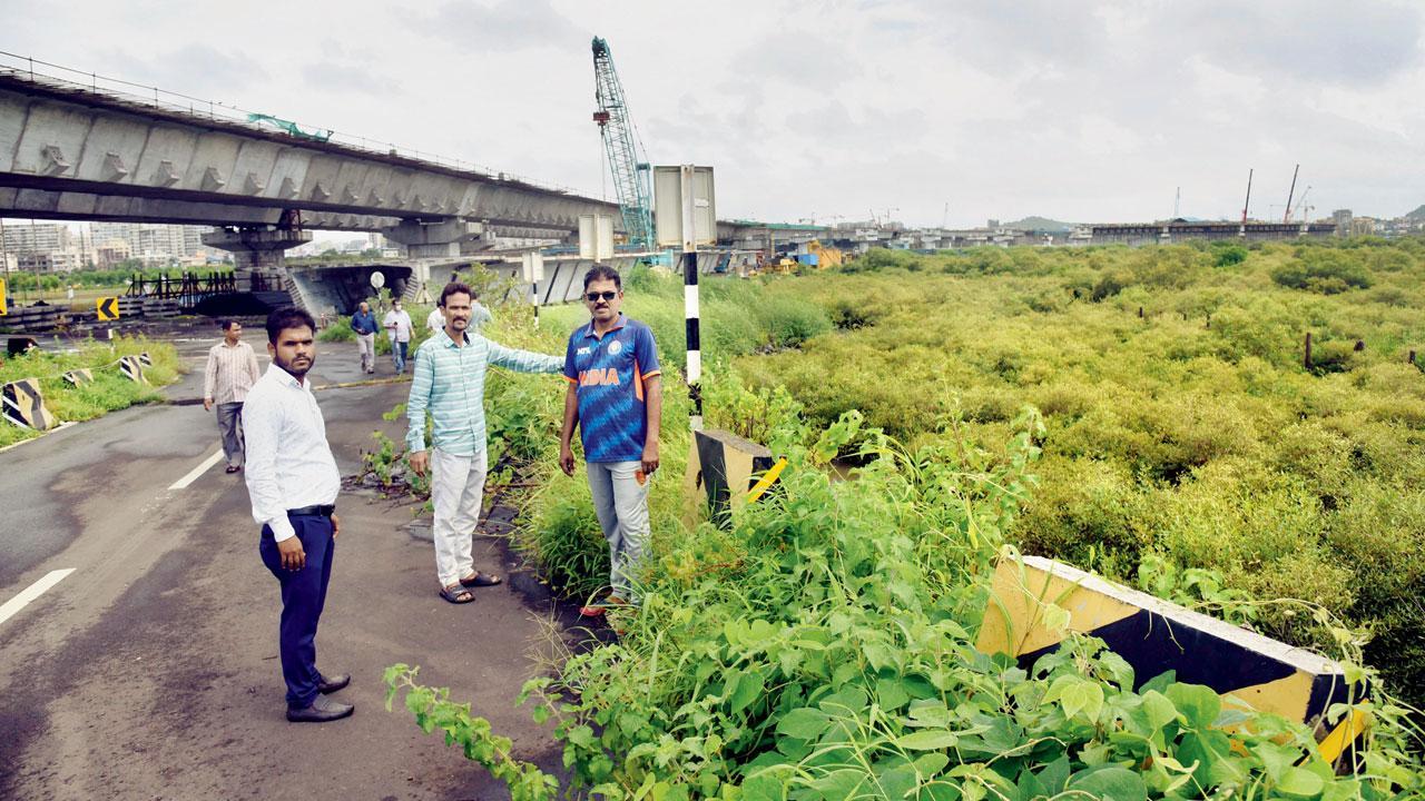 Construction of Mumbai Trans Harbour Sea Link affecting livelihood of fishing community in Navi Mumbai, Ulwe, Panvel: Activists