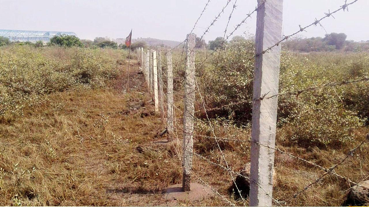 Barbed wires fencing the proposed temple site 