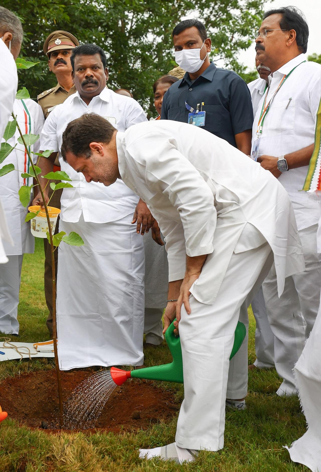 Rahul Gandhi also planted a sapling at the memorial. TNCC chief K S Alagiri and other senior party leaders accompanied Rahul. (Pic/AFP)