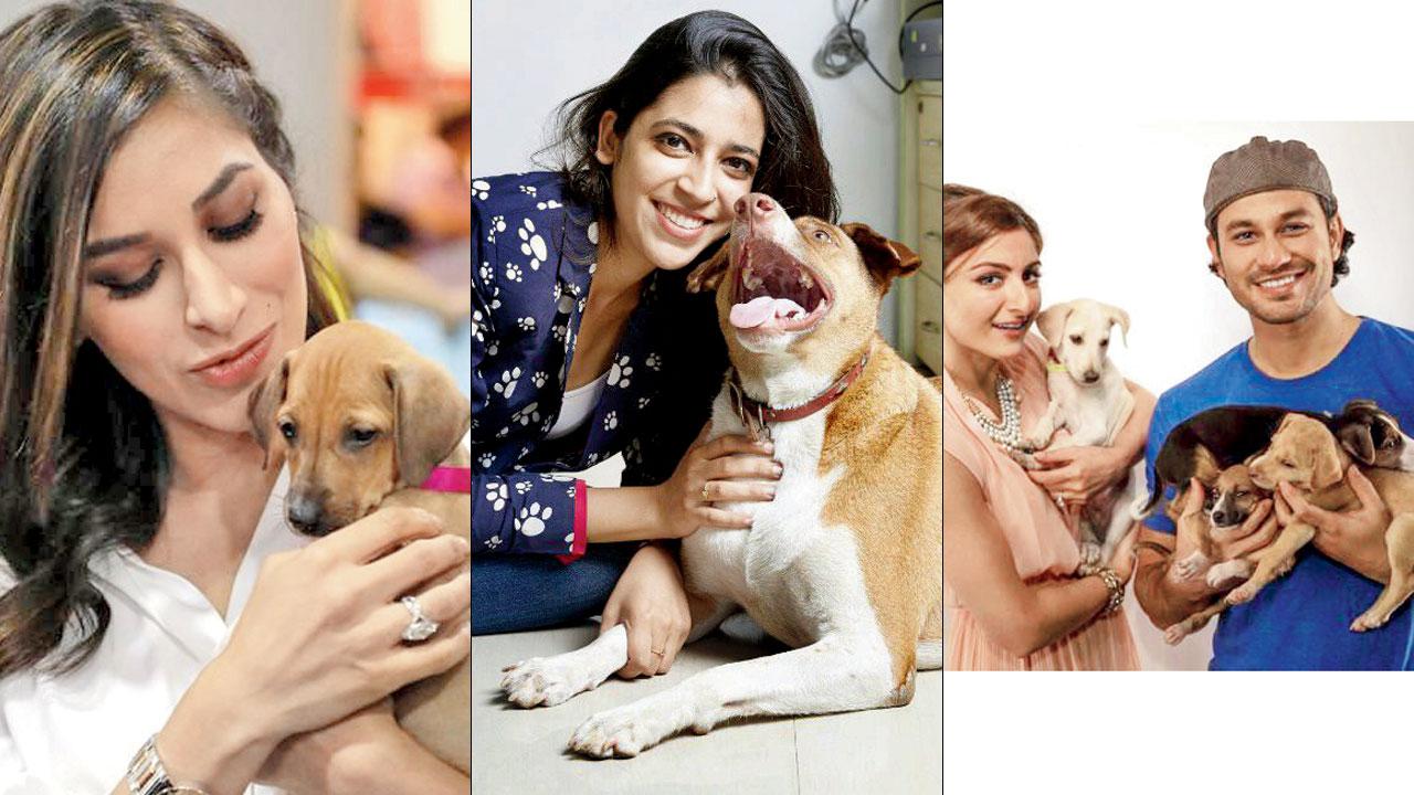 Sophie Choudry, Shahira Sunder, Soha Ali Khan with Kunal Kemmu