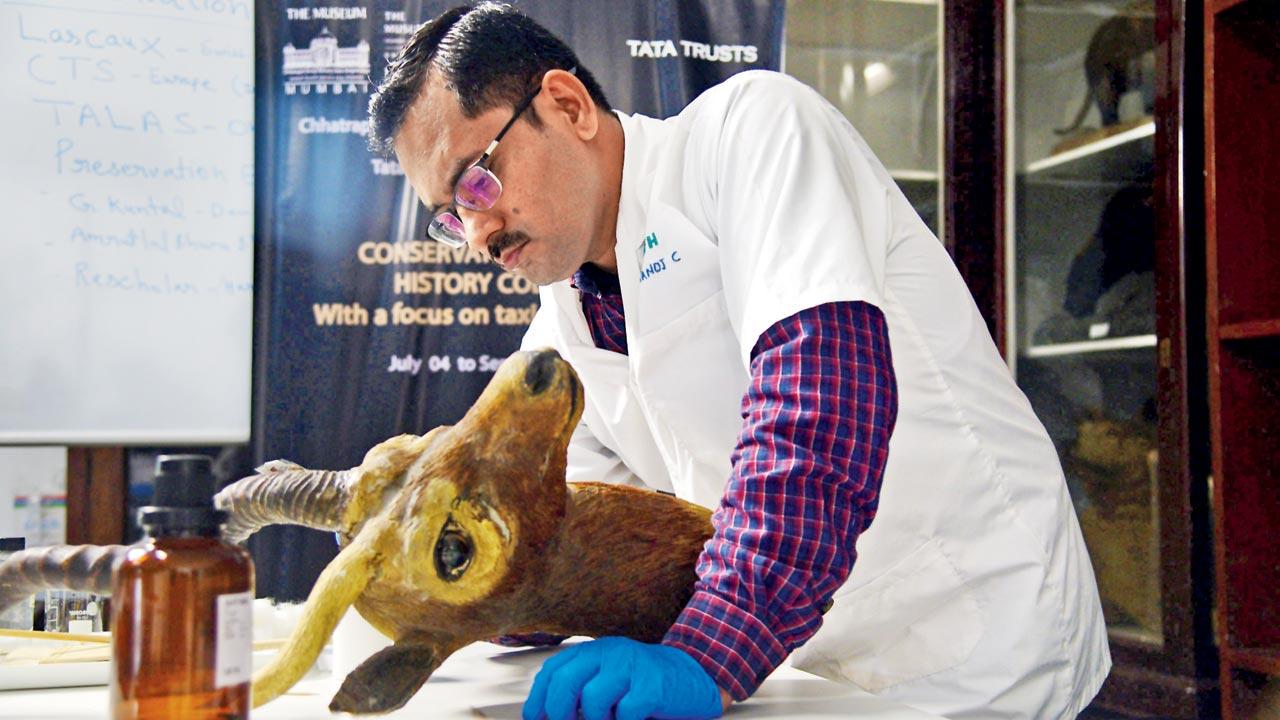 Dr KA Raheem says these can also provide DNA samples to resurrect extinct species
