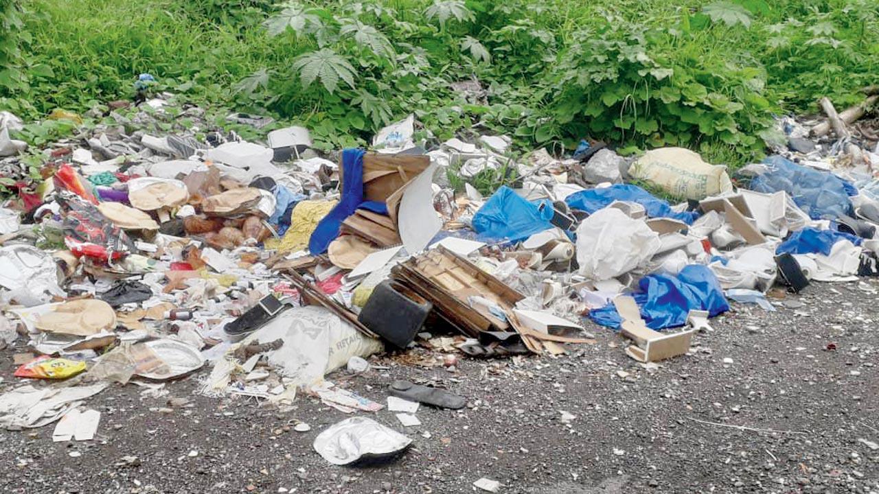‘What are syringes, bottles doing inside mangroves in Navi Mumbai?’