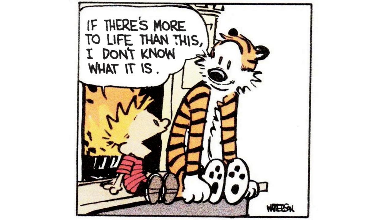 A cartoon strip from Calvin and Hobbes. Pic courtesy/Twitter