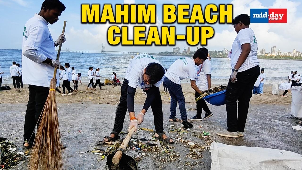 Mumbaikars gather to clean the Mahim Reti Bunder Beach