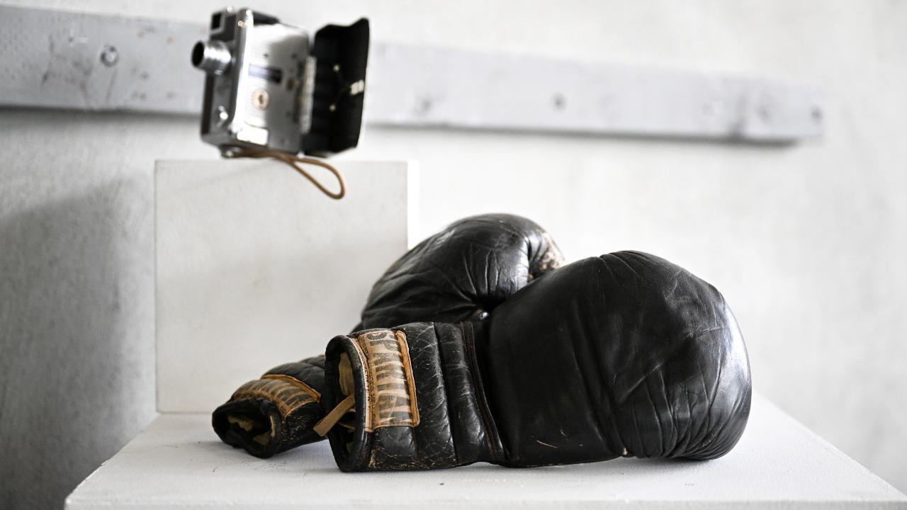 Indian youth boxers clinch 19 medals at Golden Glove of Vojvodina tournament