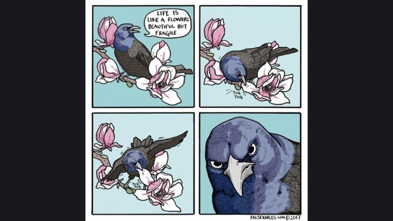 Comic love
