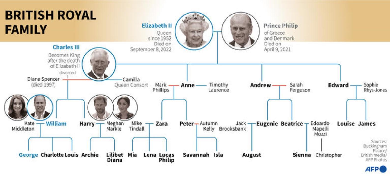 Royal Family Tree And Line Of Succession Royal Family - vrogue.co