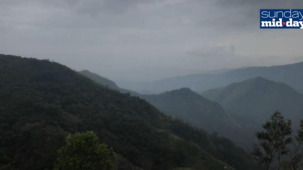 The Changing Sounds Of The Western Ghats | Ears To The Ground Project