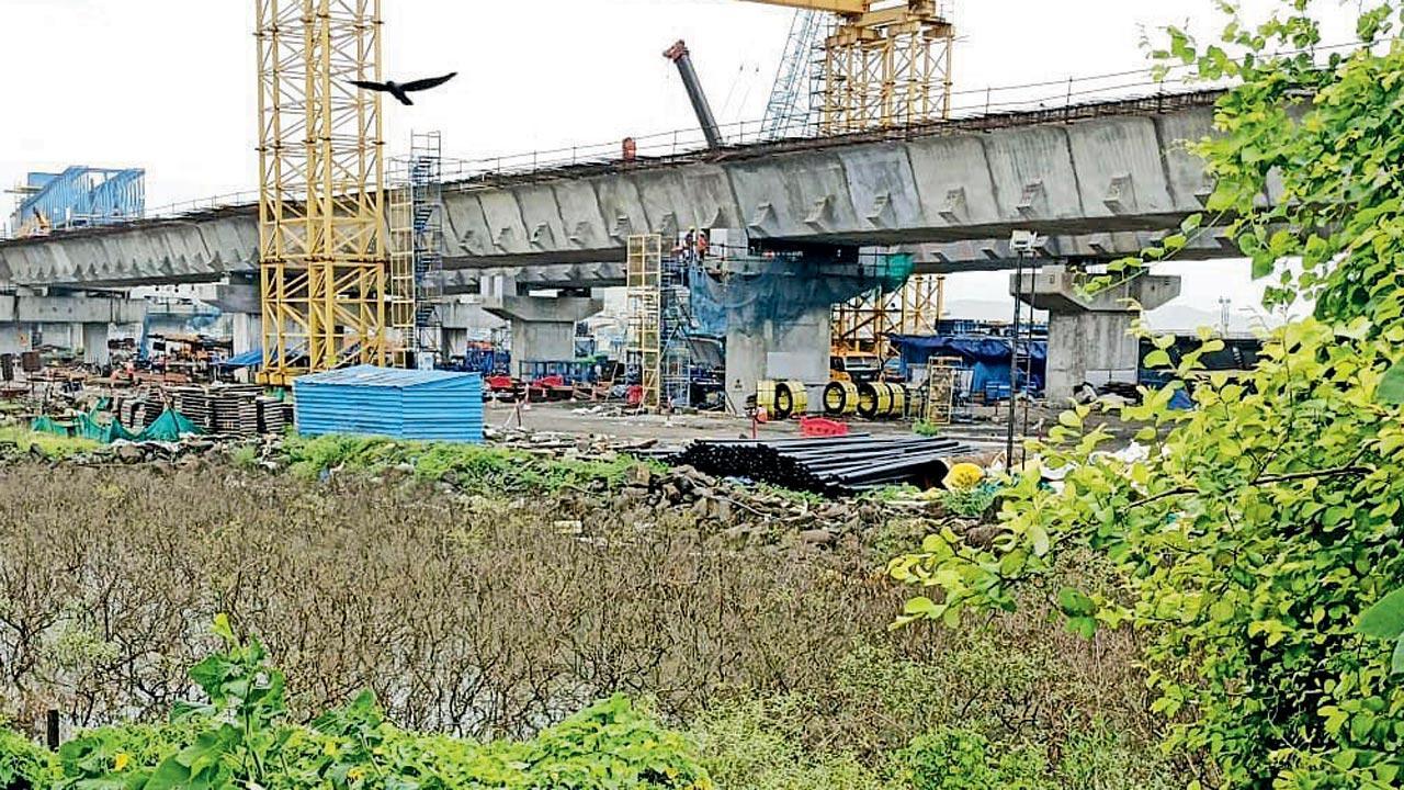 Mumbai: How did Aaditya hand over mangrove land for a temple, asks activists