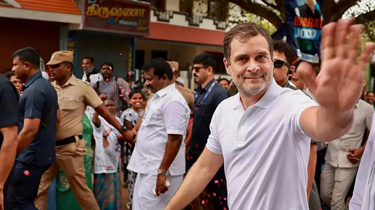 Rahul Gandhi tweets about his meeting with Kerala's BTS Army, watches K-pop group's video