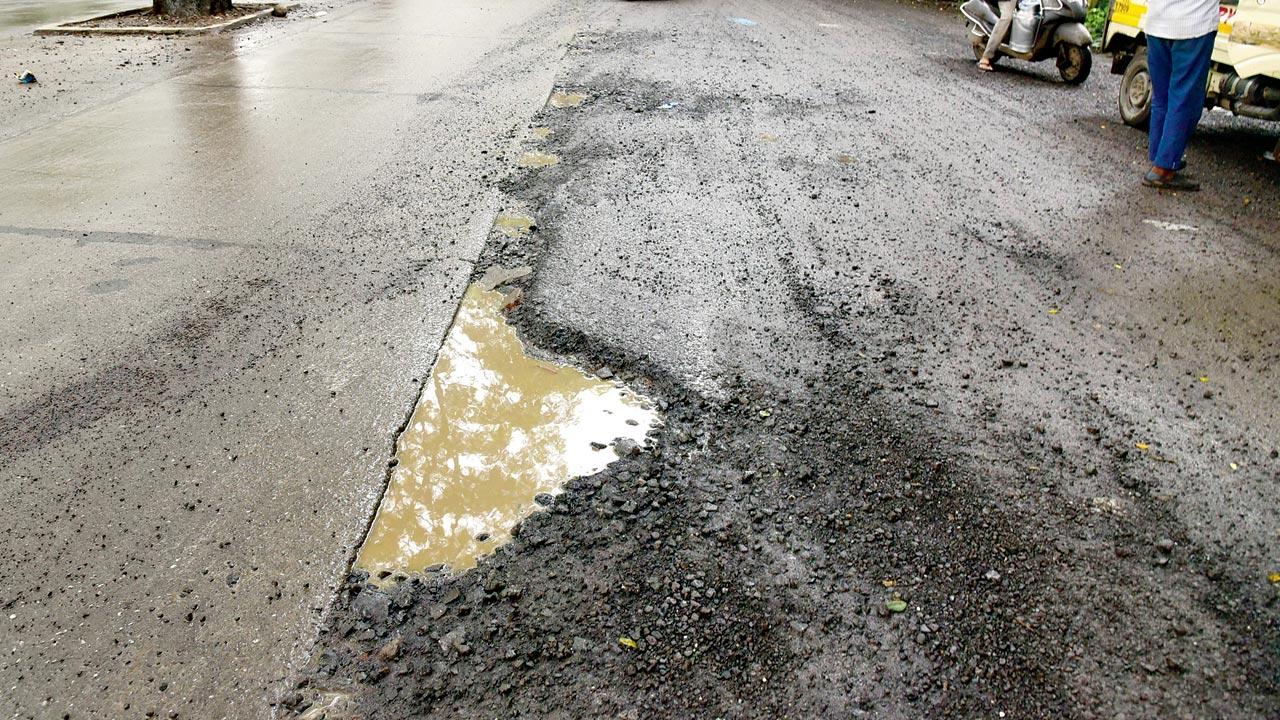 Potholes on the key arterial road in Aarey Milk Colony in Goregaon. Pics/Atul Kamble