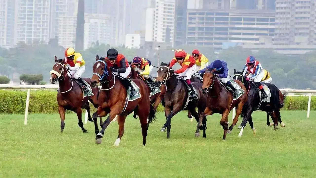 Horse racing news: Emperor Roderic wins S A Poonawalla Million