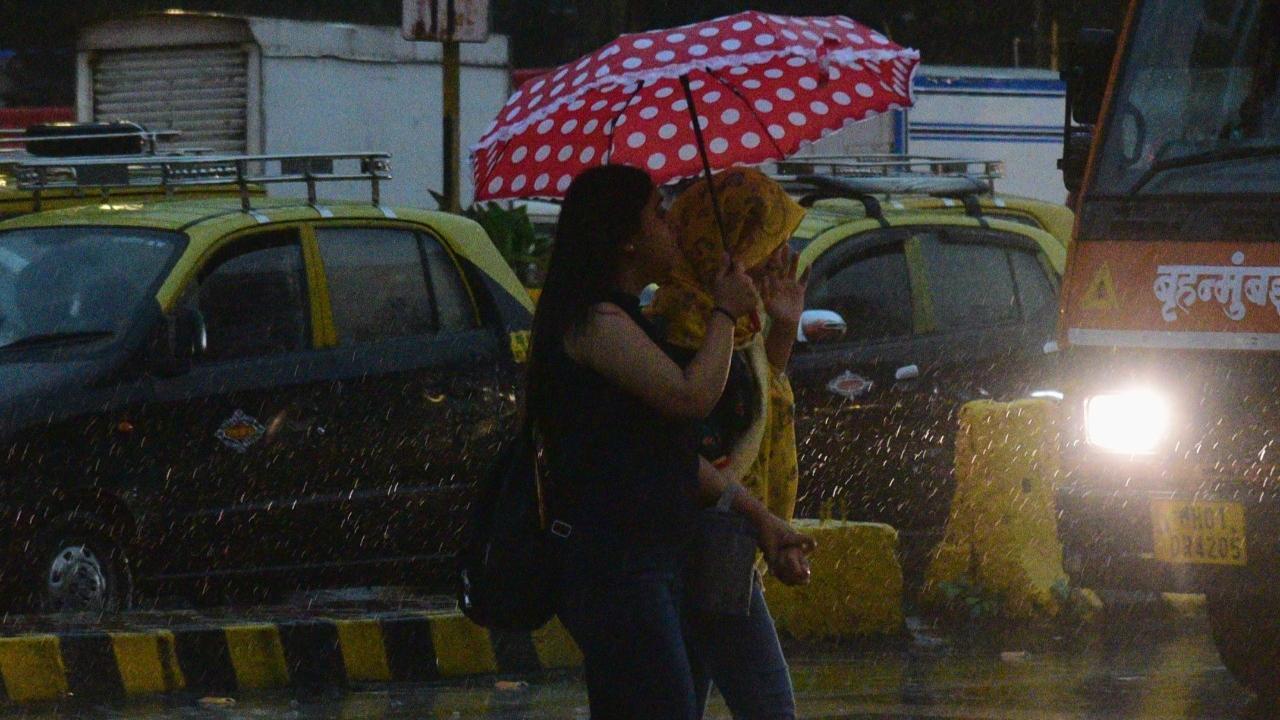Maharashtra: Heavy rains lash Thane, Palghar; waterlogging in low-lying areas