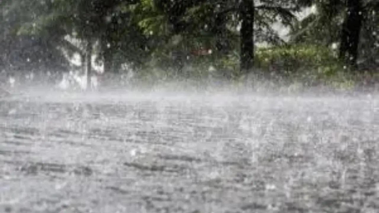 Maharashtra rains: Pune city receives heavy showers