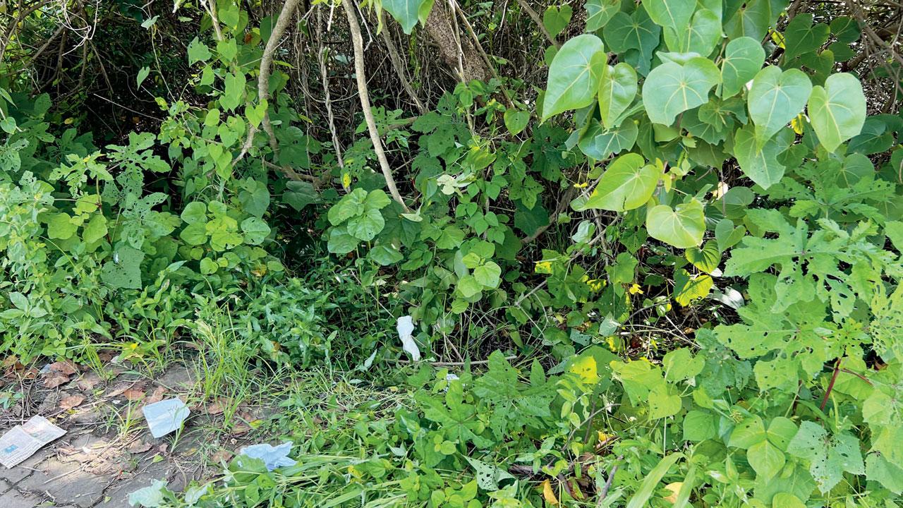 The spot where the bag was found. PIC/HANIF PATEL