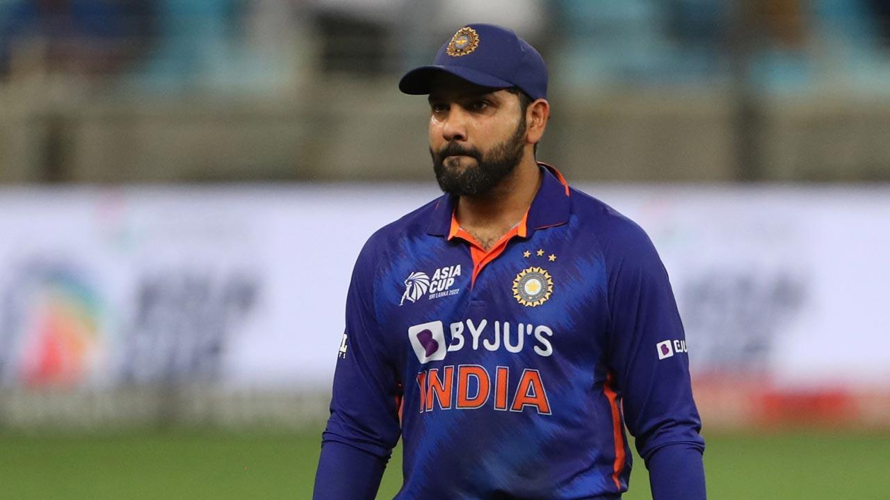 India to face Australia, Kiwis in T20 WC warm-up ties