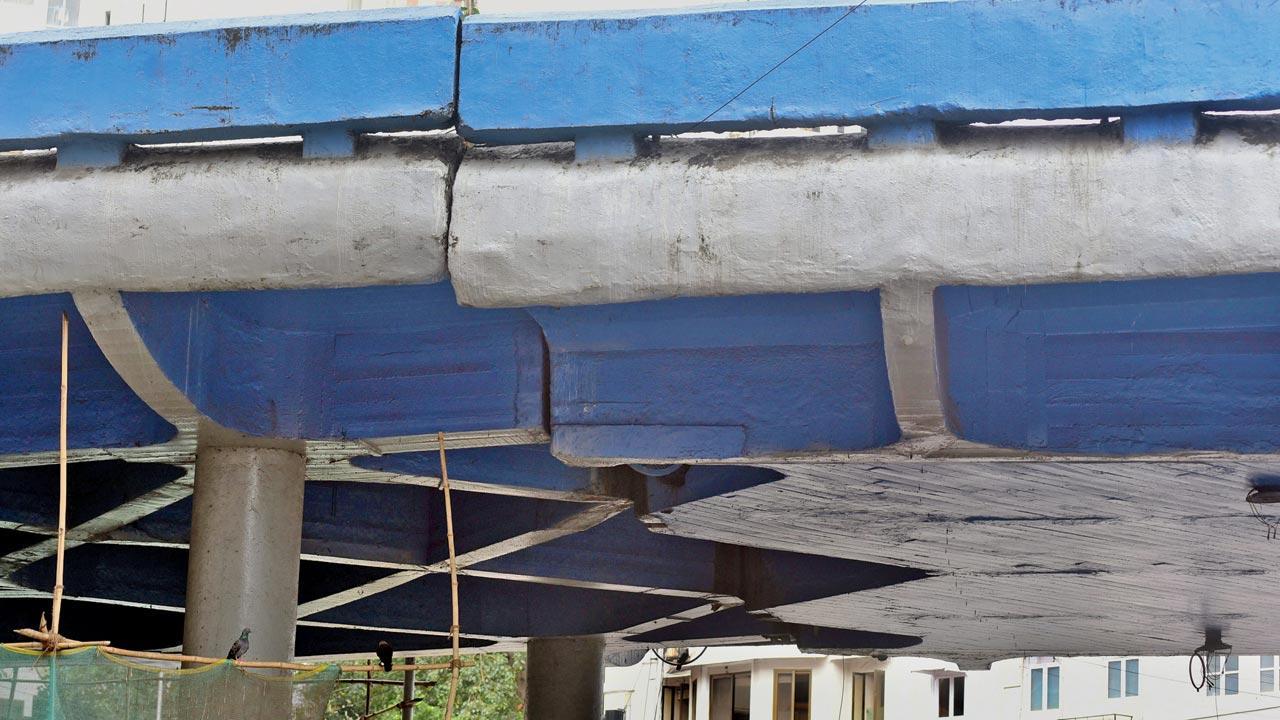 Mumbai: Technical issue shuts down Kemps Corner bridge