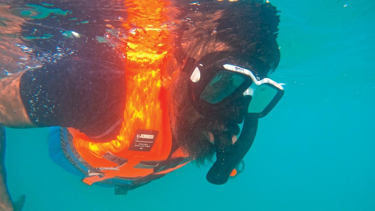 This writer’s first attempt at snorkelling