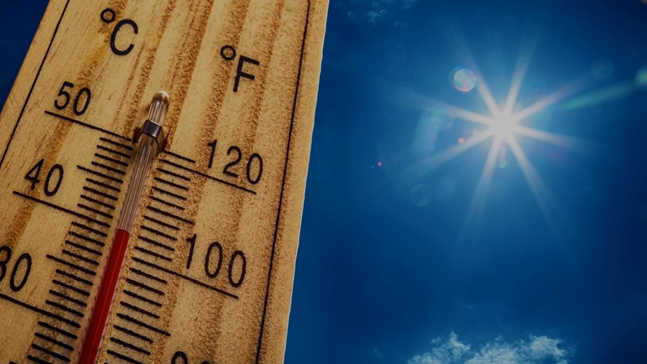 Heat wave: Maharashtra state board schools to remain closed from Friday