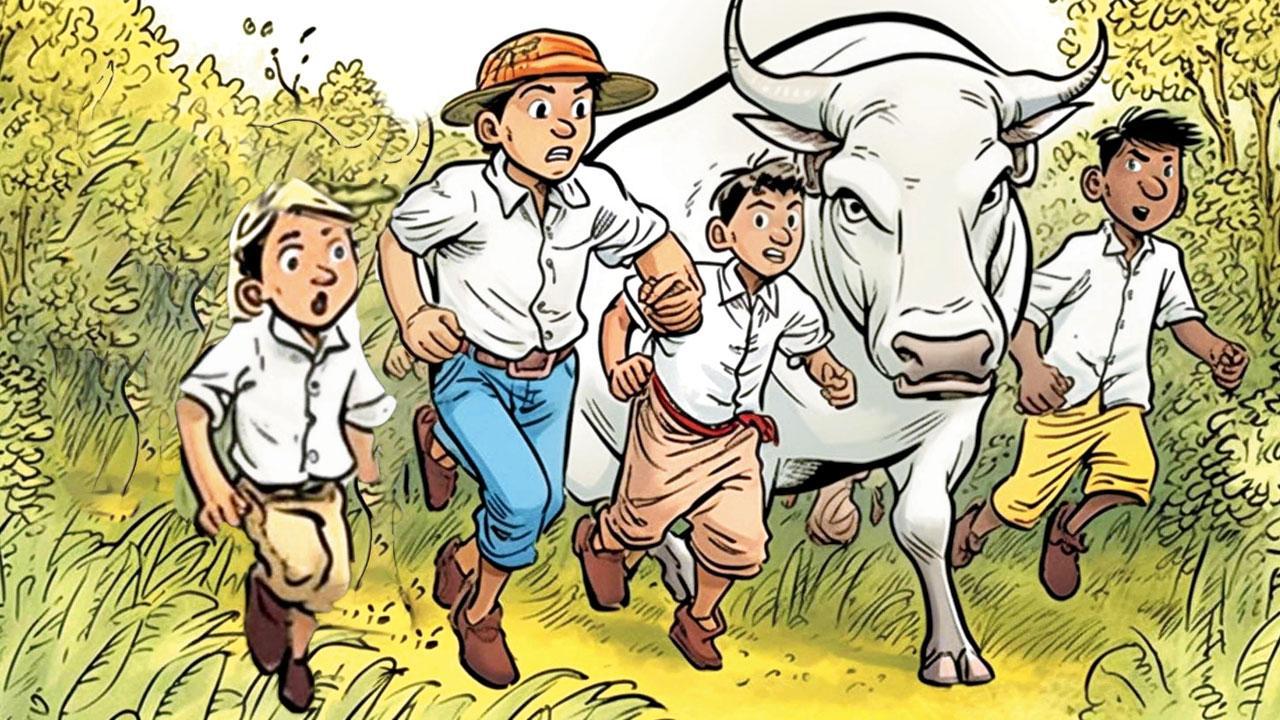 How not to deal with a Bhagnari bull