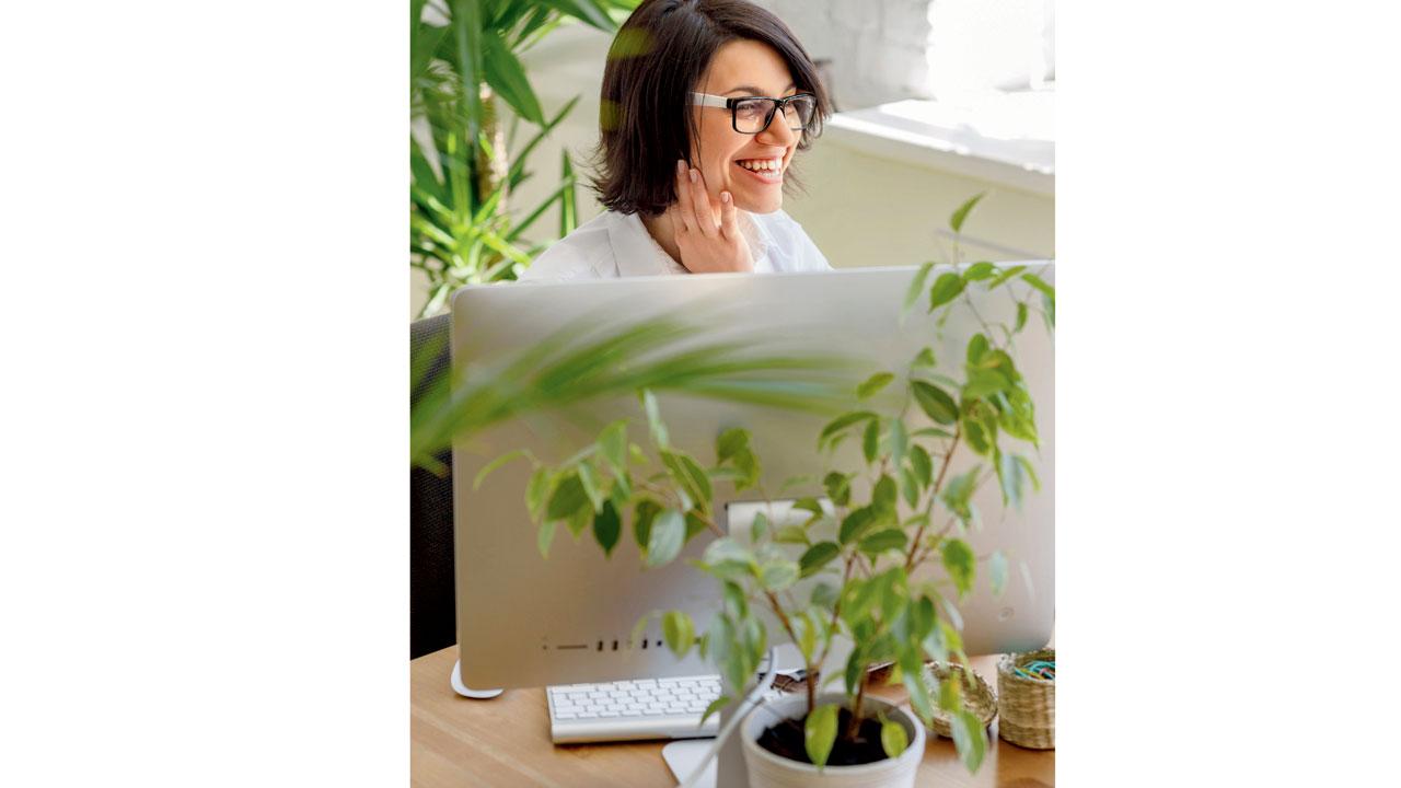 Plants are known to relieve stress and add vibrancy to the office space