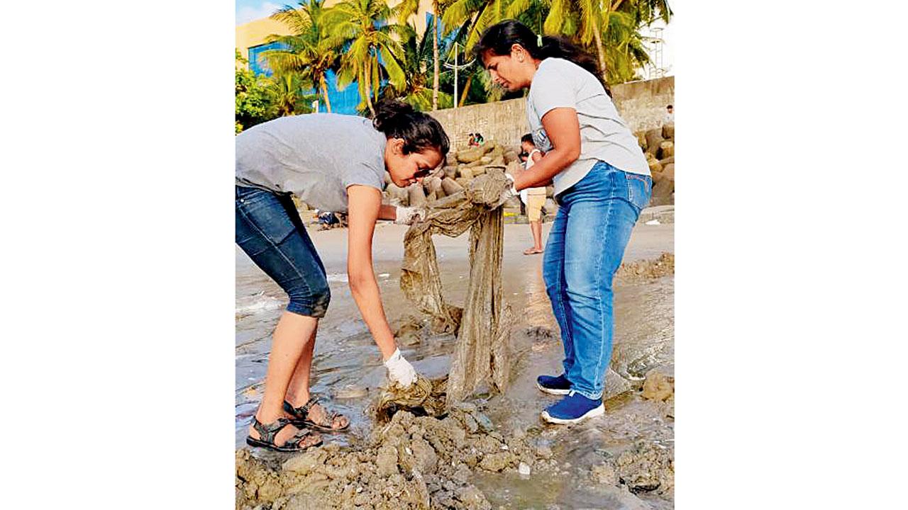 Volunteers at a previous beach clean-up