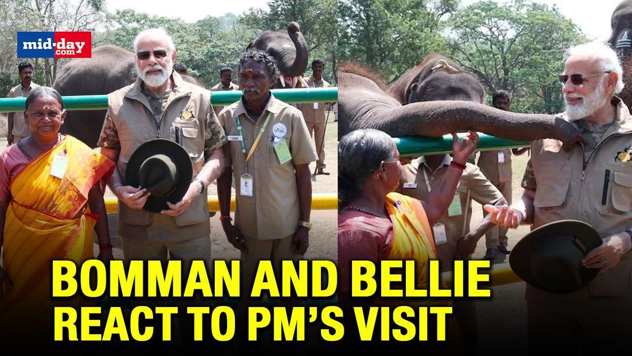 The Elephant Whisperers Fame Bomman And Bellie Delighted To Meet PM Modi
