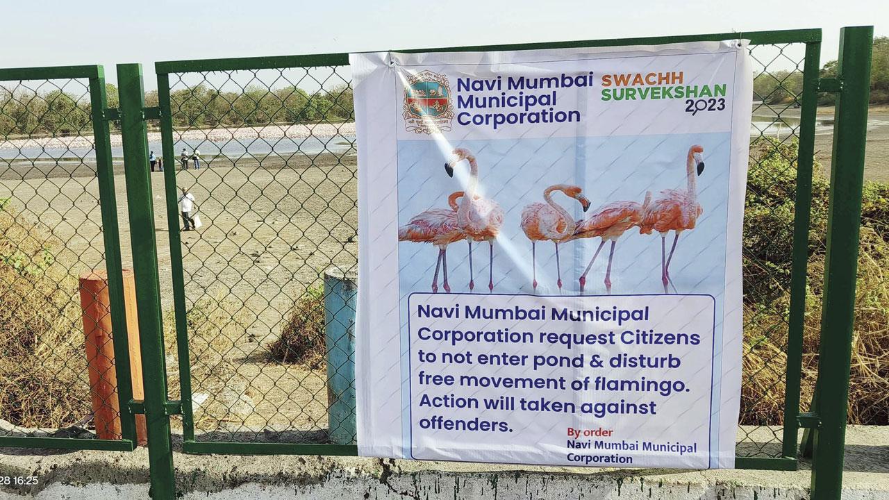 A notice put up by the NMMC at the spot