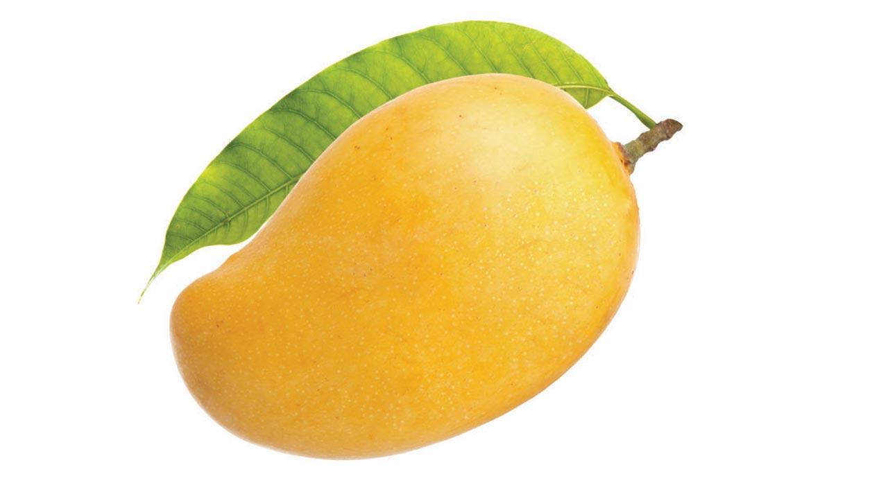 Mango mania
