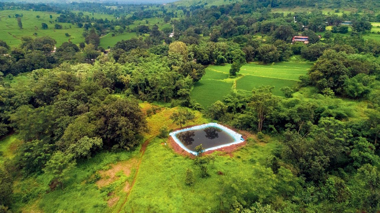 Raintree Foundation is leading a farm pond project in Velhe, which involves constructing small reservoirs. The project is aimed at providing access to water for paddy cultivation during the leaner summer months. Velhe taluka sees very high rainfall during the monsoon, but experiences drought-like conditions in the summer
