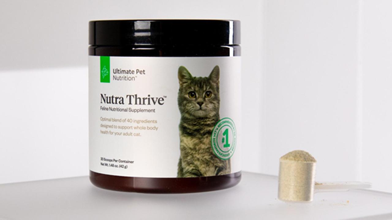 Ultimate pet nutrition top nutra thrive for cats