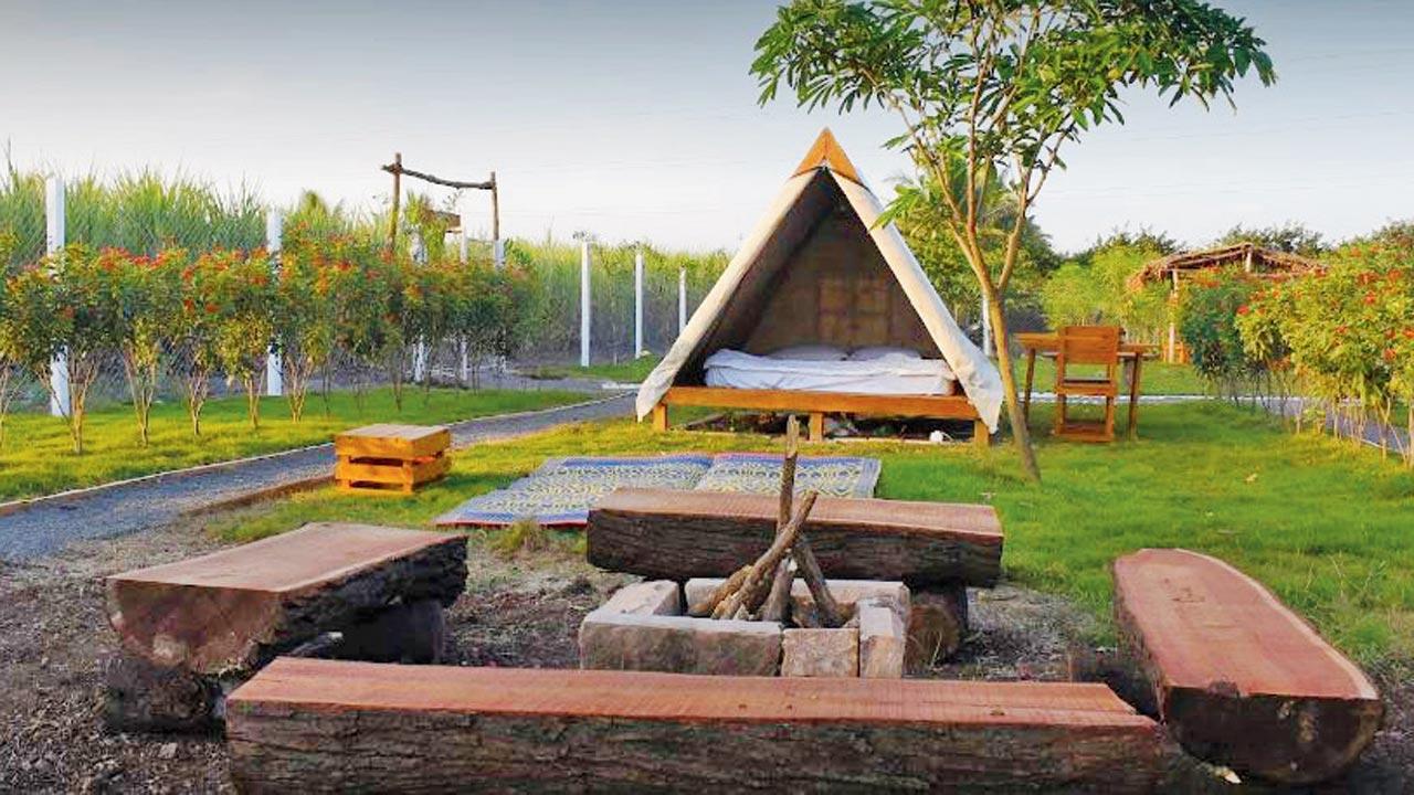 Pic Courtesy/the-triangle-glamping.business.site