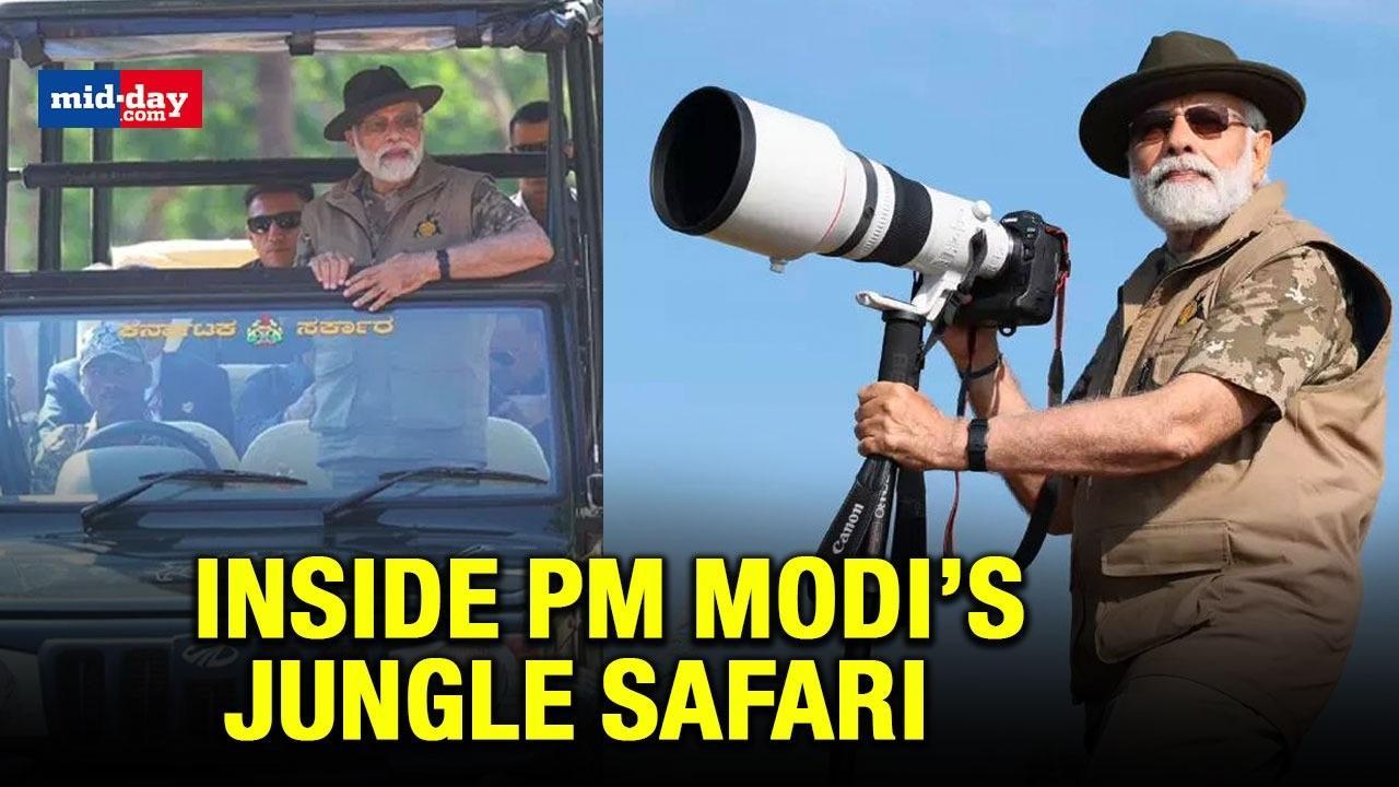 PM Modi In Open Jeep Spots Wildlife, Clicks Pictures, Meets Elephants