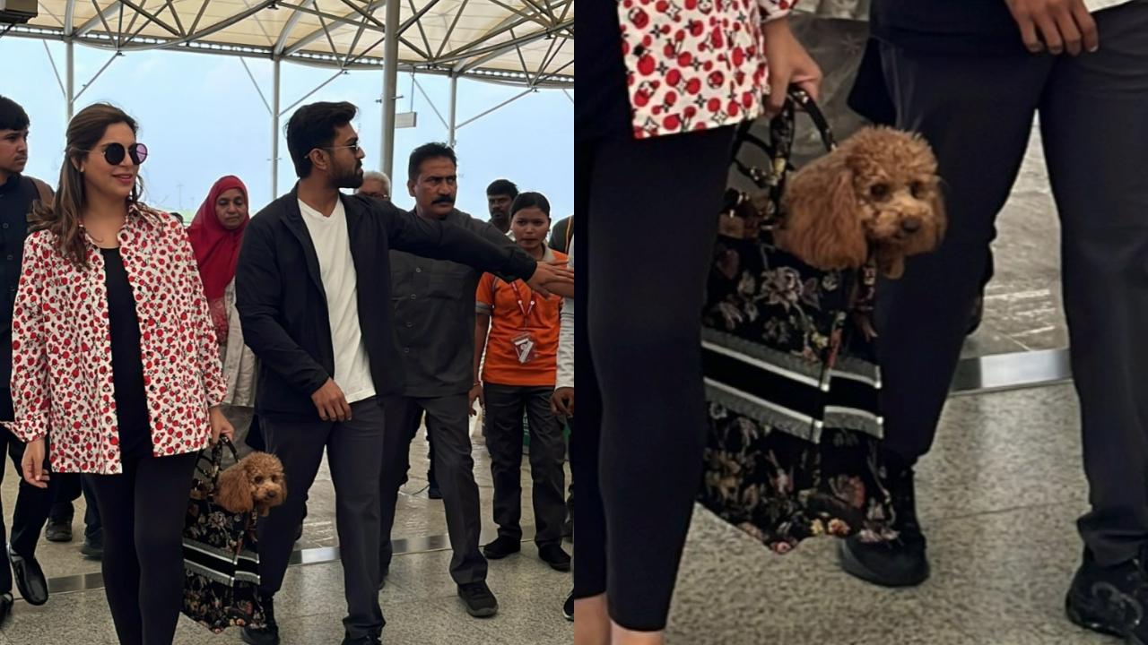 Rhyme's love and affection for her family are unconditional, as seen when she greets Ram and Upasana with tail wags and licks. When the couple arrived from their exotic Maldives vacation, little Rhyme eagerly waited at the Hyderabad airport for their arrival. Rhyme may be small in size, but she has a big personality and an even bigger fan following. These are just a few instances that show how Rhyme has stolen our hearts.
 