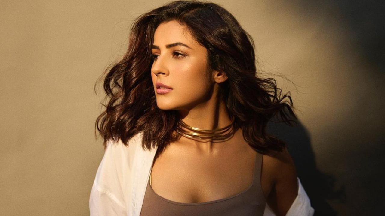 The Kapil Sharma Show Shehnaaz Gill reveals she was the lowest paid contestant on Bigg Boss 13 picture