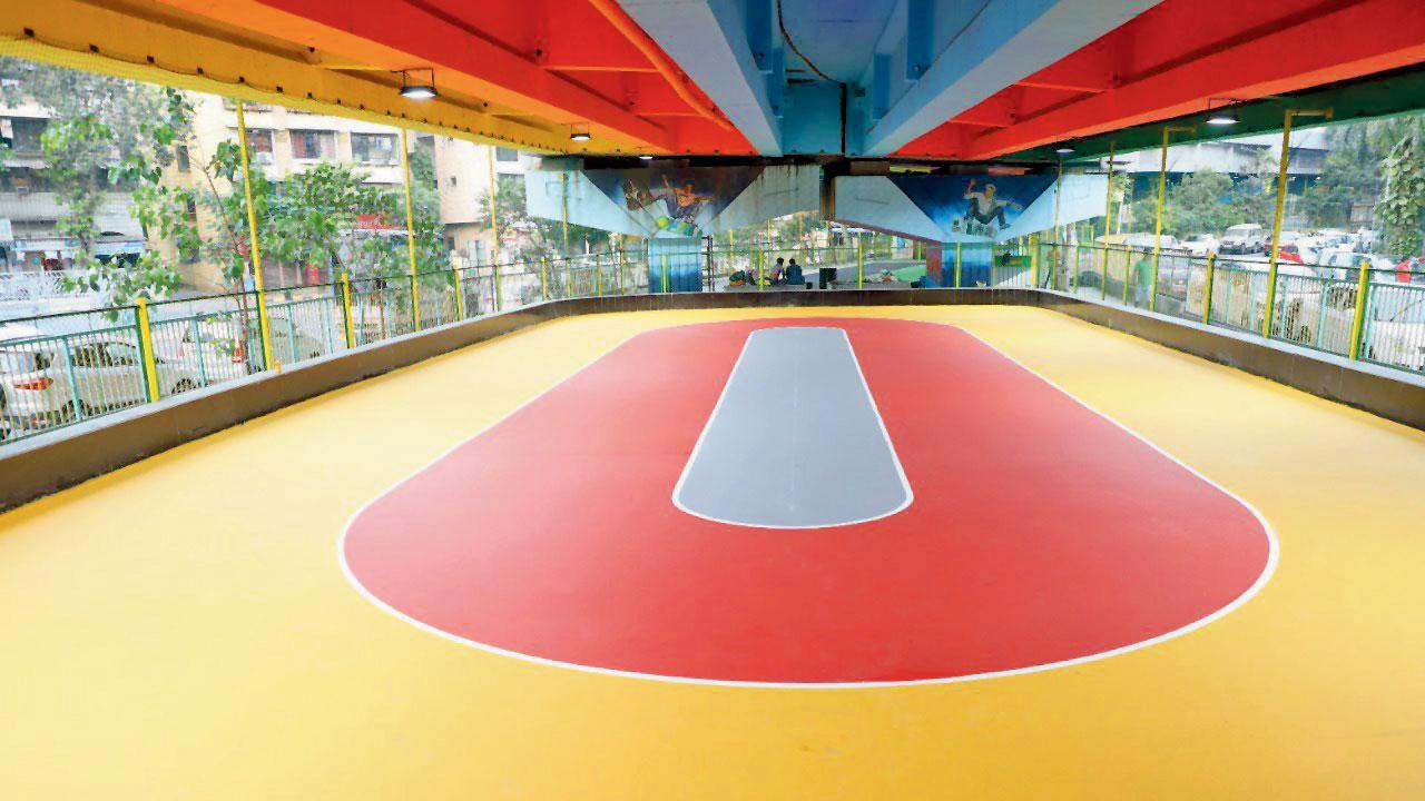 Skating rink. Pic courtesy/NMMC