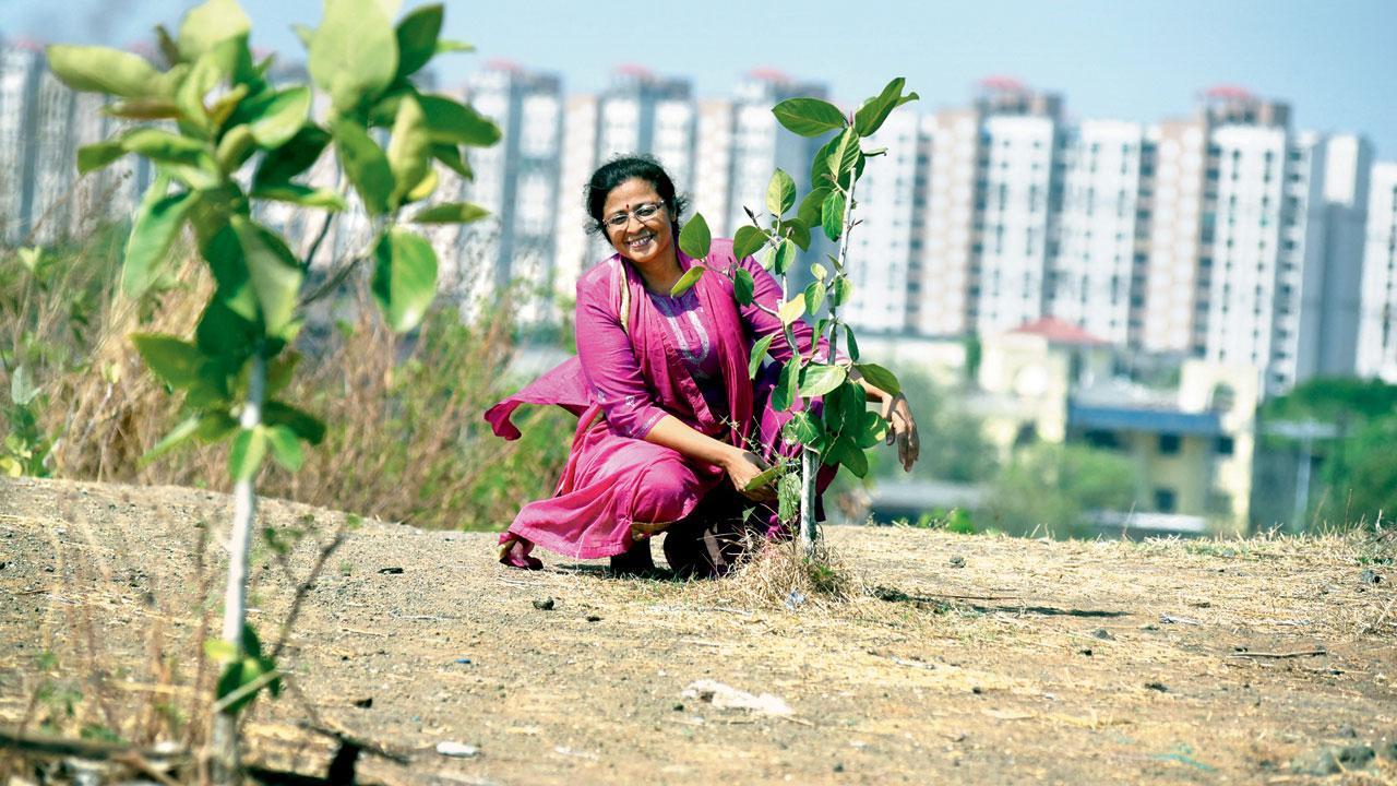 Navi Mumbai: ‘I’m waiting for the fireflies to return’