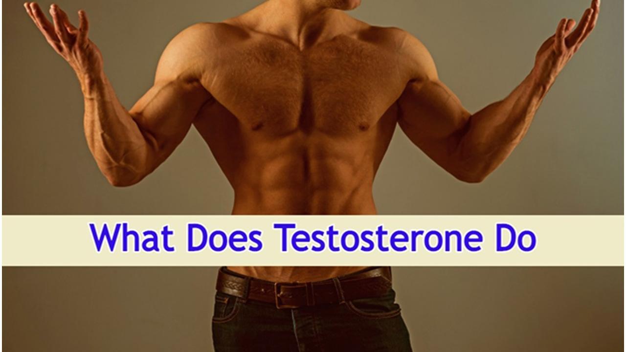 What Does Testosterone Do 5 Best Pills and Supplements To Increase