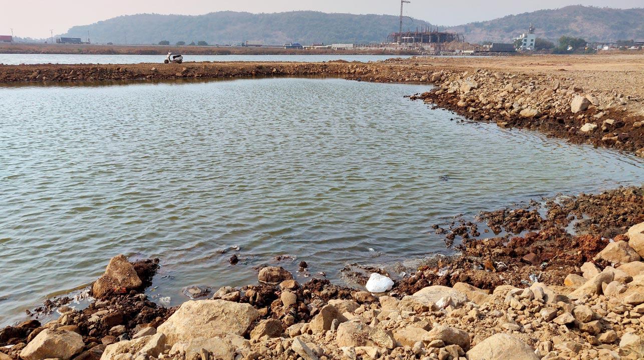 The CIDCO and JNPA claim the water body is not a wetland 