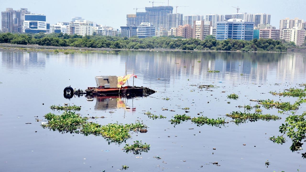The Mithi River being cleaned ahead of the monsoon in 2022