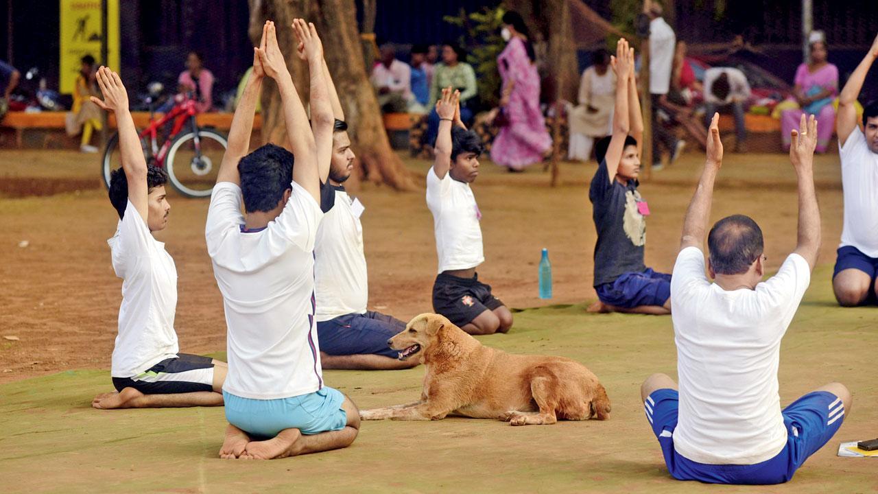 Mumbai Diary: Friday Dossier